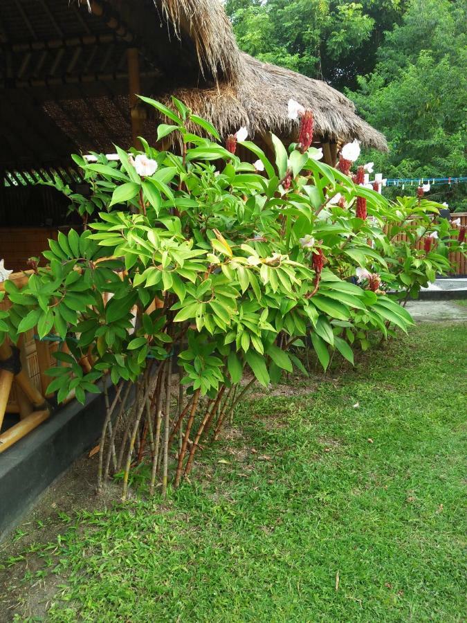 Tua Tua Keladi Bungalows Gili Air Exteriér fotografie
