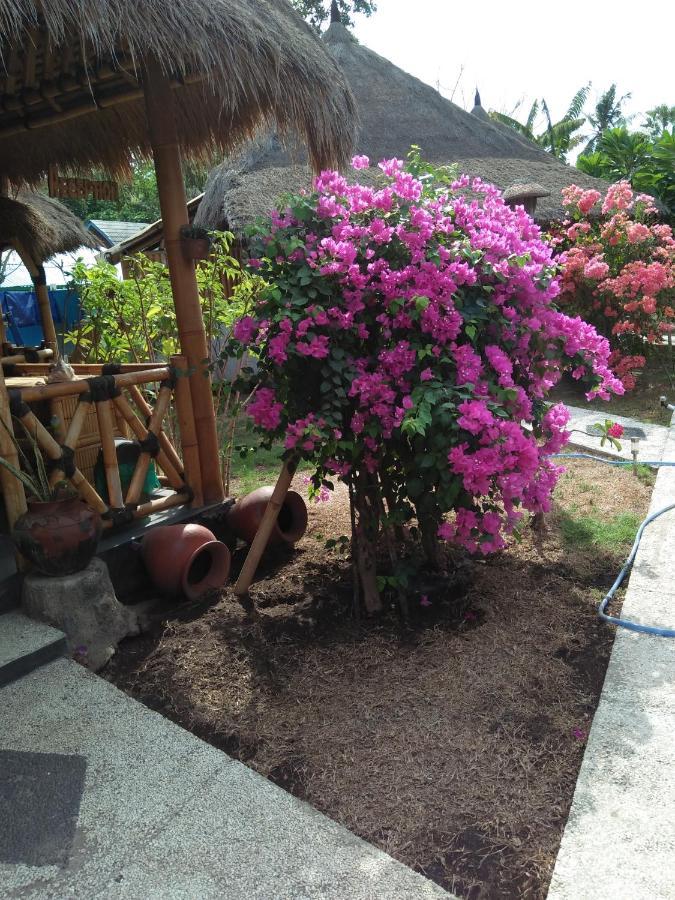 Tua Tua Keladi Bungalows Gili Air Exteriér fotografie